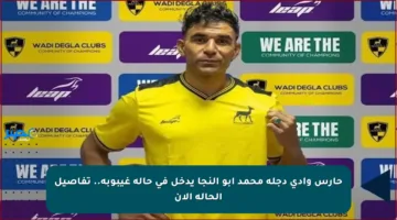 حارس وادي دجلة محمد أبو النجا يدخل في حالة غيبوبة.. تفاصيل الحالة الآن